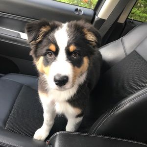 Meet your Posher, Daniel